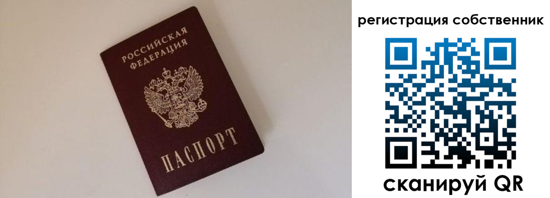 временная регистрация надежно в Камышлове